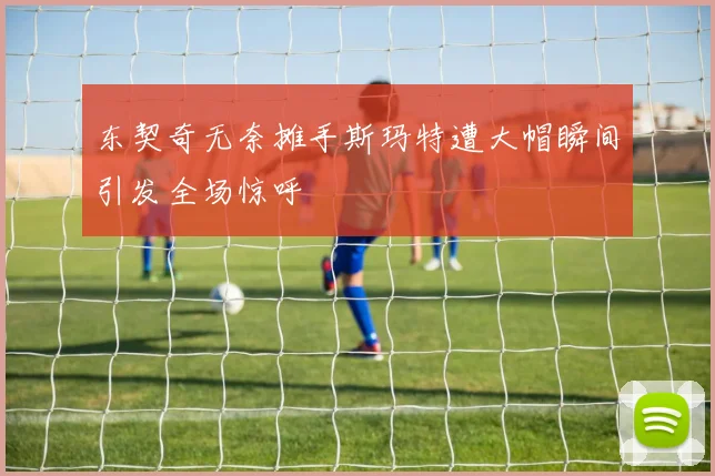 东契奇无奈摊手斯玛特遭大帽瞬间引发全场惊呼