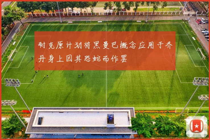 耐克原计划将黑曼巴概念应用于乔丹身上因其恐蛇而作罢