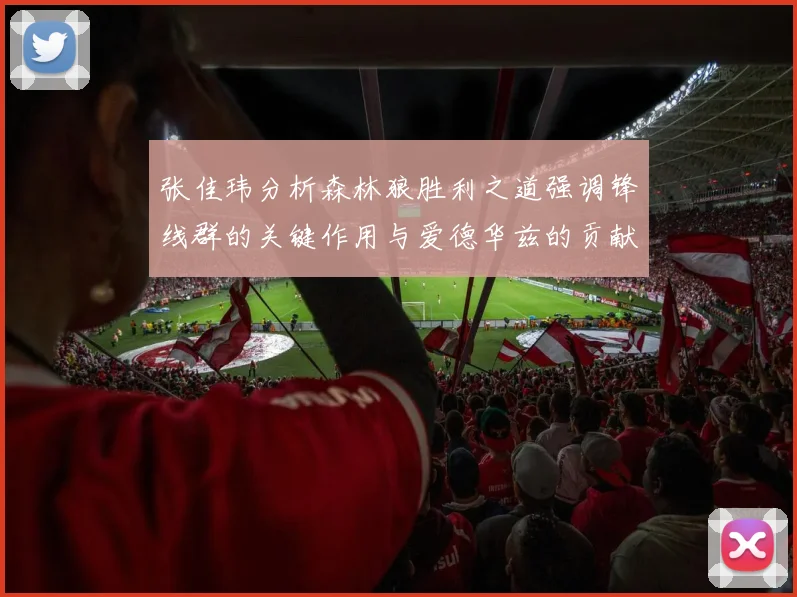 张佳玮分析森林狼胜利之道强调锋线群的关键作用与爱德华兹的贡献
